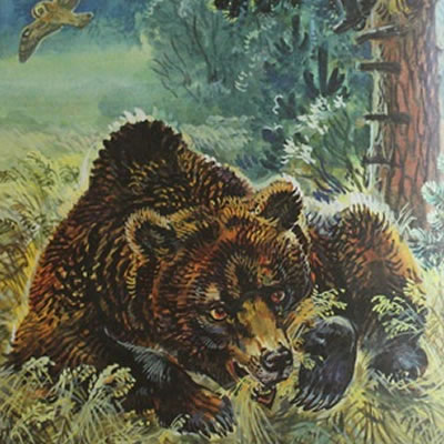 Как муха медведя от смерти спасла — Виталий Бианки
