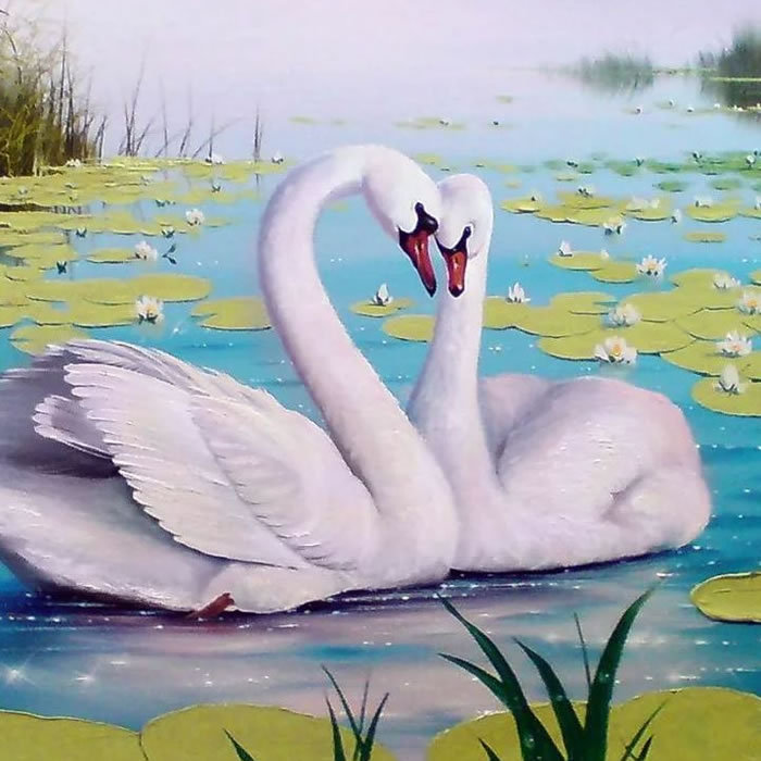 Лебеди — Георгий Скребицкий