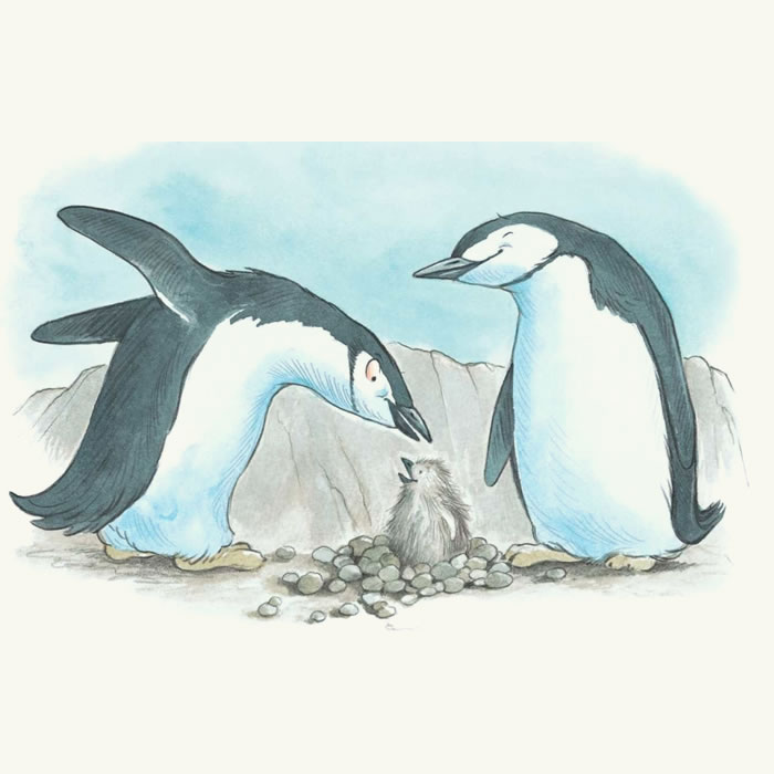 Маленький пингвин Рой — Дональд Биссет