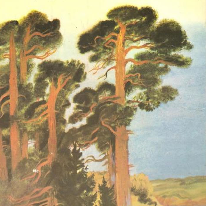 Повесть о лесах — Константин Паустовский