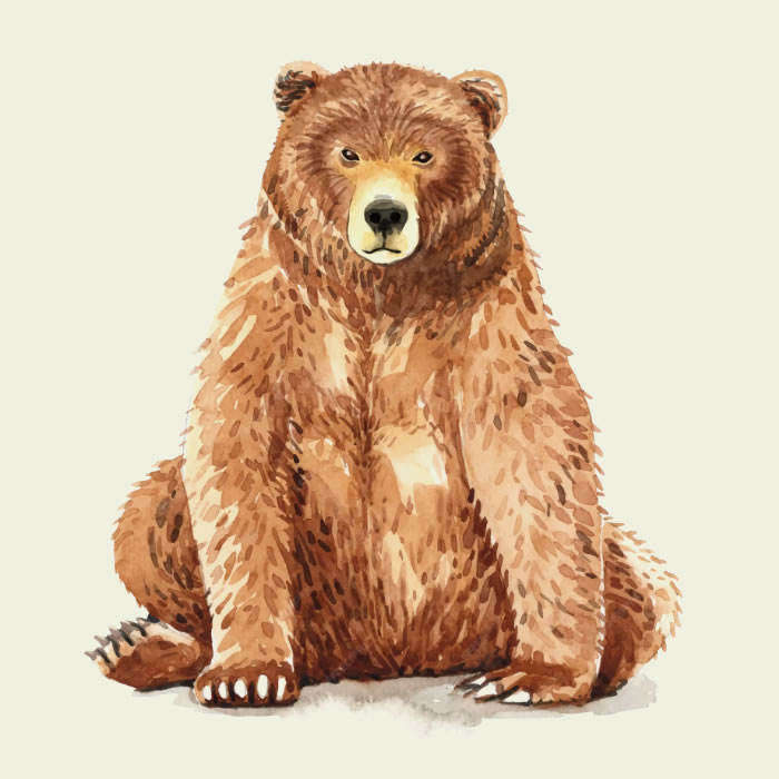 Про медведя