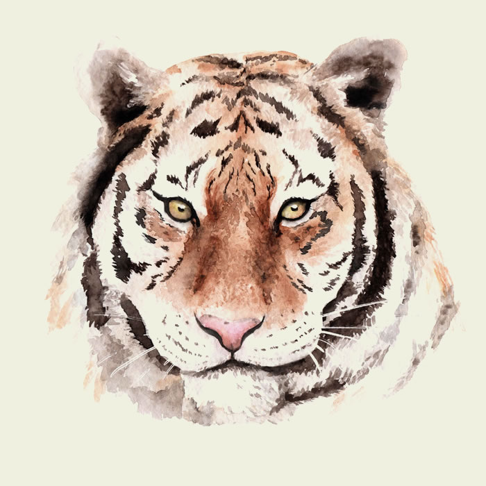 Про тигра — Баниласка