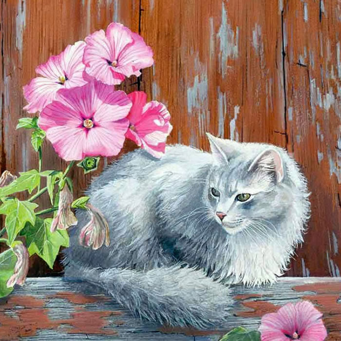 Серая кошка — Наталья Абрамцева