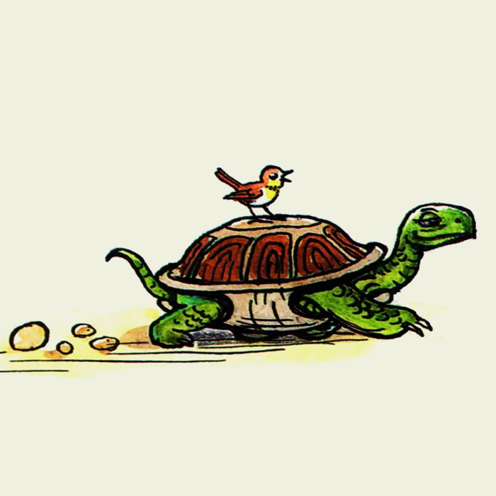 Сказка о перевернутой черепахе — Михаил Пляцковский