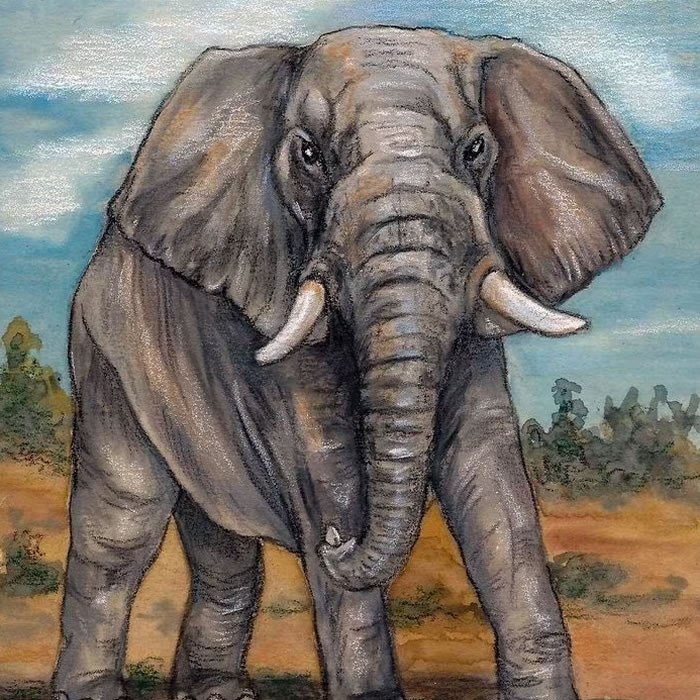 Слон и можжевельник — Дональд Биссет