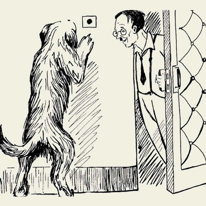 Отворяю дверь передо мной большая. Рассказы Михаила Зощенко умная собака. Иллюстрации к умной собаке Зощенко рассказы.