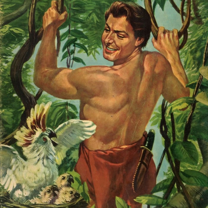 Возвращение Тарзана в джунгли — Эдгар Райс Берроуз